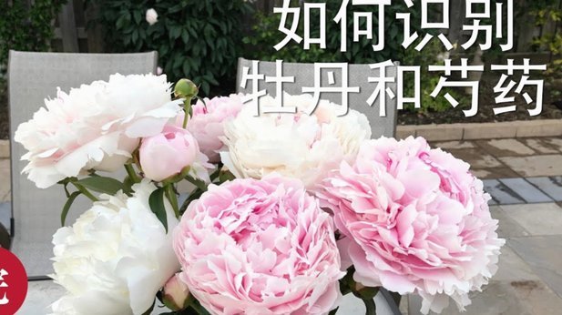 花呗使用平台 平台会知道吗