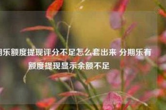 分期乐有额度取不出来是什么原因