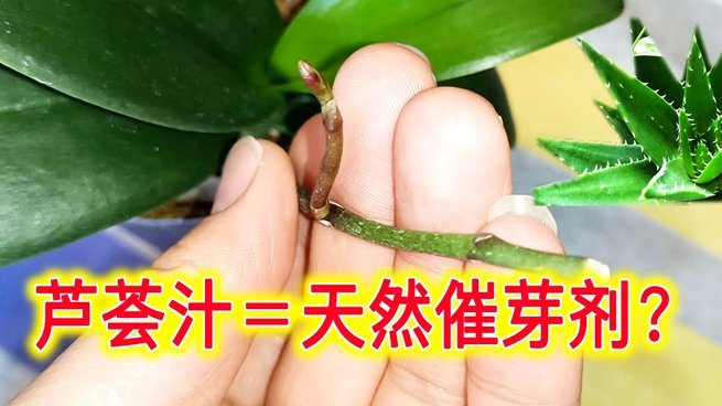 花呗怎么提现出来 取现
