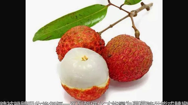 便荔卡包套现费用解析