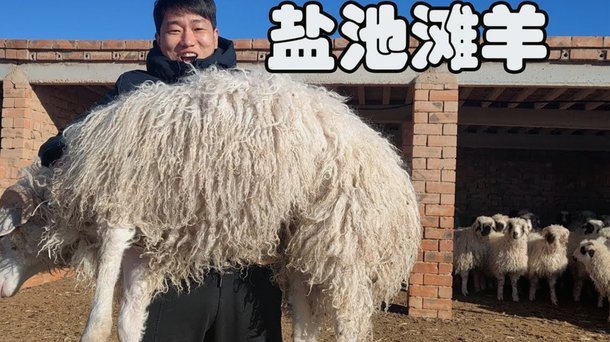 羊小咩额度取现：稳吗？