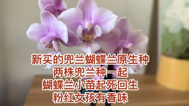 携程里面的拿去花