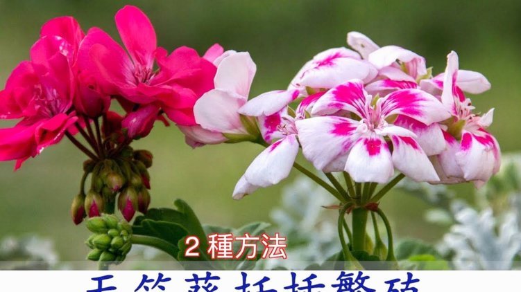 花呗套现合法吗