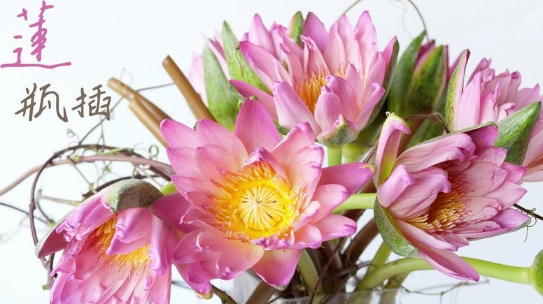 套现花呗合法吗 现在