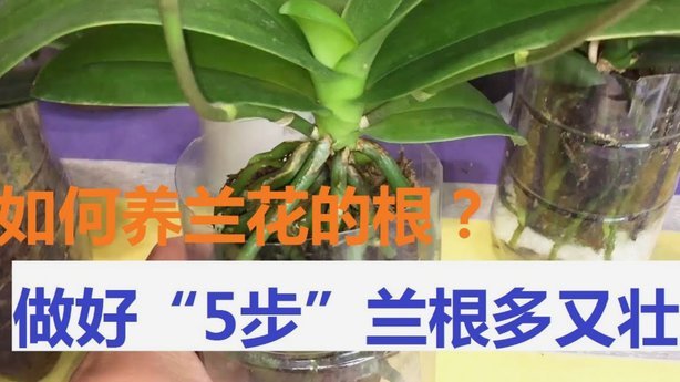 如何聪明地用好花呗信用额度