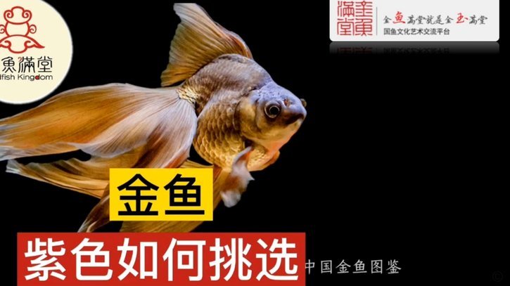携程拿去花提现方法