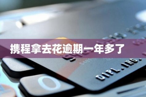 携程拿去花取现要审批吗