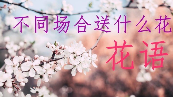 套现花呗合法吗
