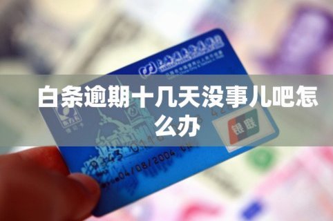 蚂蚁借呗延期还款指南