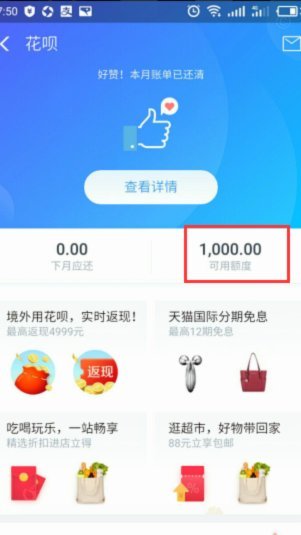 哪个平台可以用花呗支付
