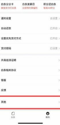 怎么从白条上借钱