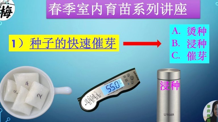 白条信用额度能提现吗？深度解析能否取出资金？