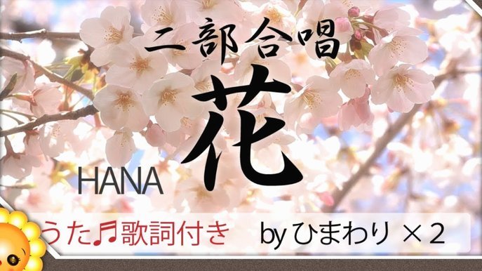花呗秒套平台到底真假？深入揭秘背后的金融陷阱