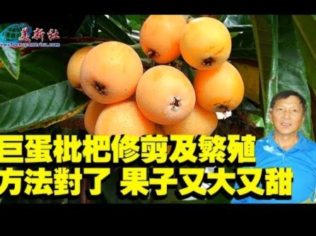 备用金提现机制深度解析：从技术到风控的全流程解读