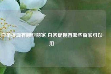 白条额度失效：背后的风险与困境