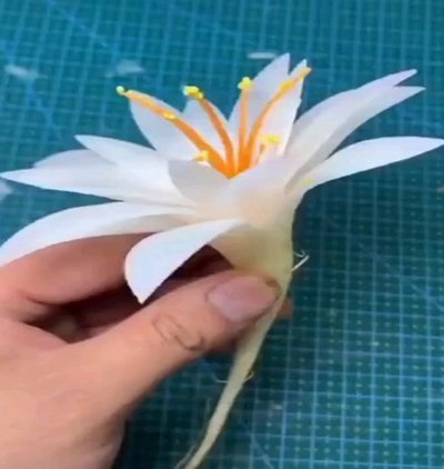 智能使用拿去花：管理财务流动性