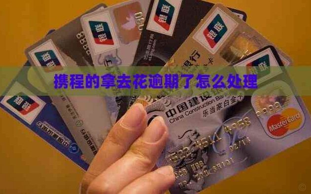 携程拿去花在哪儿？揭秘资金流向