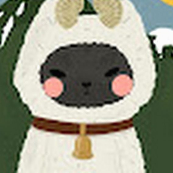 羊小咩的财富管理智慧