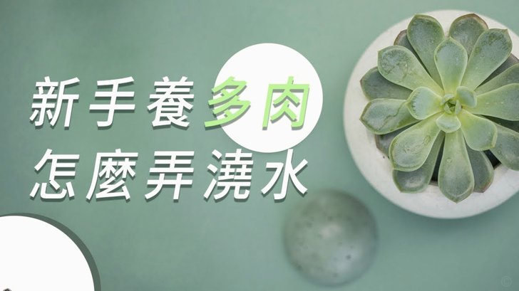 羊小花16300元责任如何承担