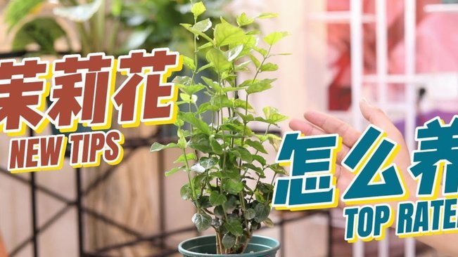 花呗平台怎么赚钱