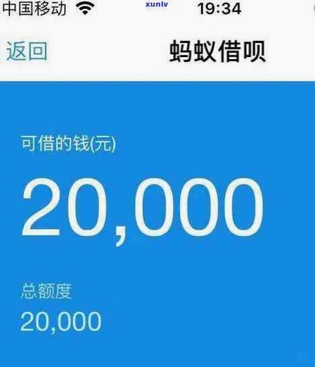 花呗：便利与风险并存的信用实验