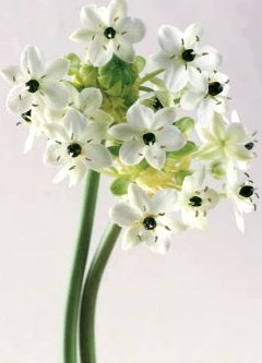 套现花呗平台 套现可靠吗知乎