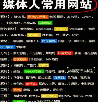 羊小咩平台：虚拟社群与信息连接的多元生态解析