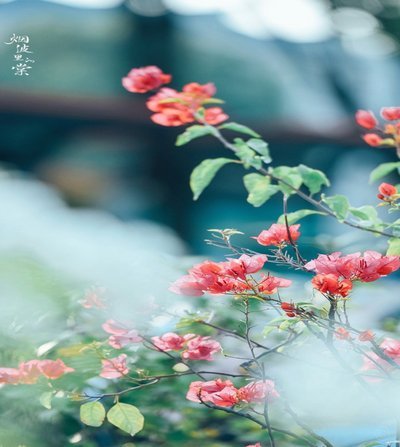 花呗支付遇阻，系统压力引担忧