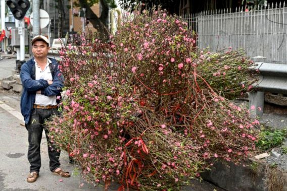 花呗现在情况 出不来了怎么回事