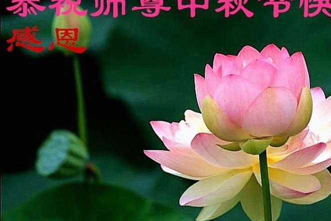 花呗现在情况 出不来了怎么回事