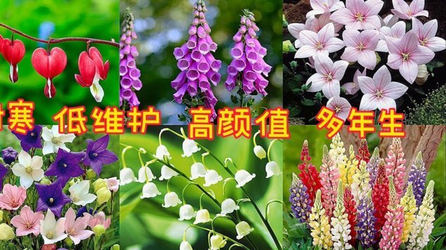 2018拿去花如何套现