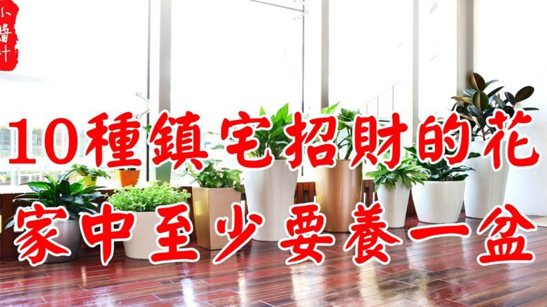 套花呗：风险与误区