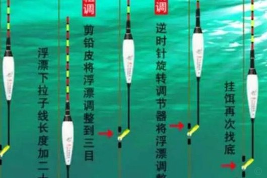 白条什么时候钓合适