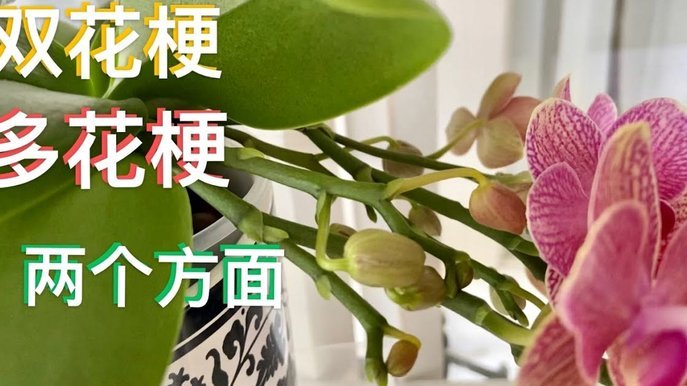 套现花呗有手续费吗 出多少钱