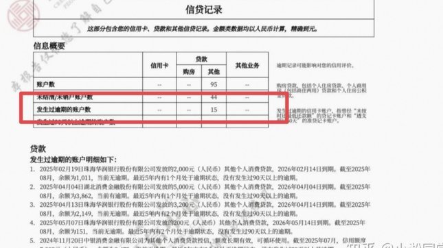 羊小咩贷款征信影响解析