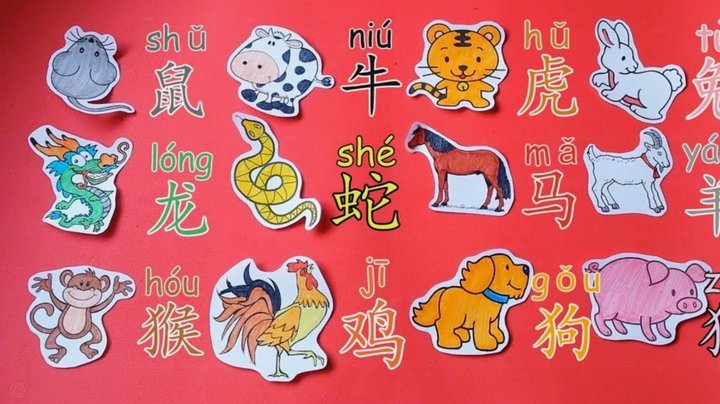 网络借贷额度快速回收指南
