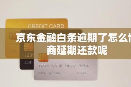 延期失败了？白条平台客服协商无果怎么办