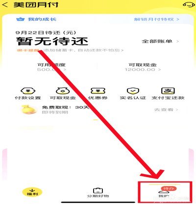 揭秘美团月付提现难题背后的秘密