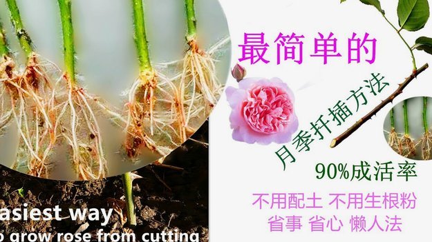 去哪拿去花 取现指南