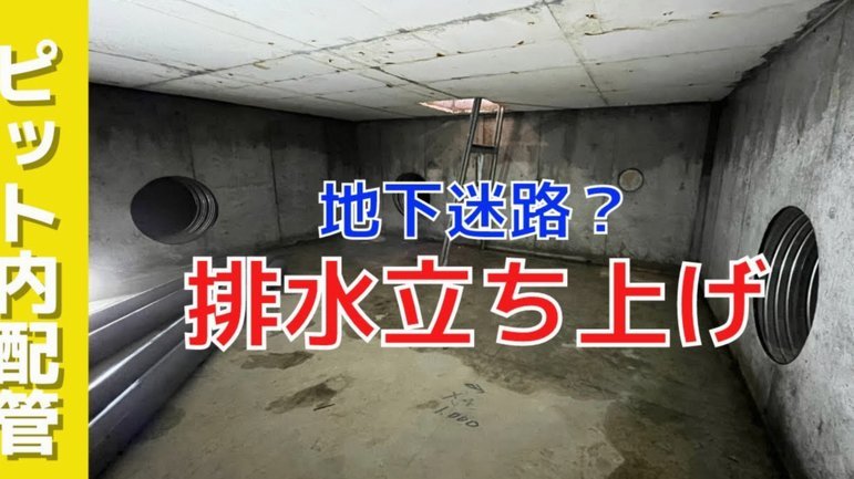 美团月付要扣月费吗