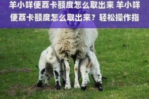 羊小咩额度怎么提上去