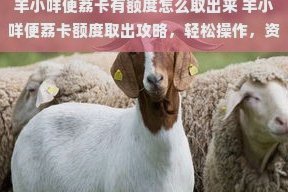 羊小咩的额度如何刷出来