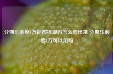 分期乐额度如何安全高效还款