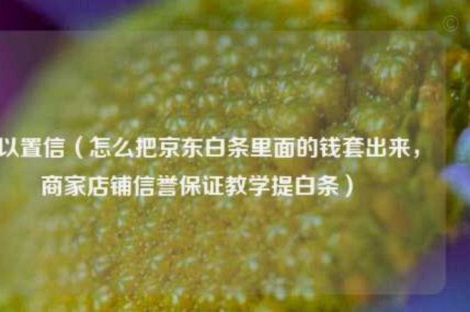 白条如何变现？