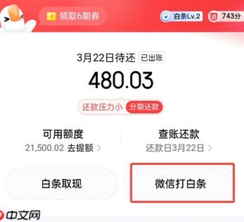 白条怎么借钱出来如何提现方法