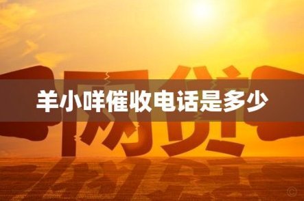羊小咩催收：背后真相大揭秘